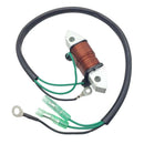 Lighting Coil Replacement for Yamaha Outboard 40HP E40X 2-Stroke Motor Metal