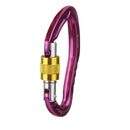 Screw Locking Mountaineering Climbing Carabiner 24KN - Purple