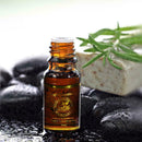 Natural Plant Therapy Lymphatic Drainage Ginger Essential Oil Massage 30m G N0J8