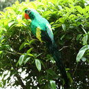 2pcs Simulation Feather Bird Artificial Foam Parrot Birds Party Crafts Ornament