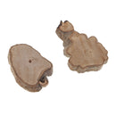 30x Wood Log Slices Discs DIY Art Craft Wedding Rustic Wooden Pile Ornaments