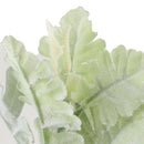 2x Artificial Focking Plants Senecio Leaves Bush Flower Bouquet Branch