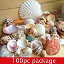 Aquarium Beach Nautical DIY Shells Mixed Bulk Approx Shell 100g Sea Fashion T2R0