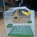 2 Pack Grass Bird Hut Bird House House Hanging Bird Nest Fiber Hand-Woven B P8A5