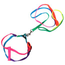 44" Long Rainbow Nylon Small Medium Size Dog Pet Harness Leash