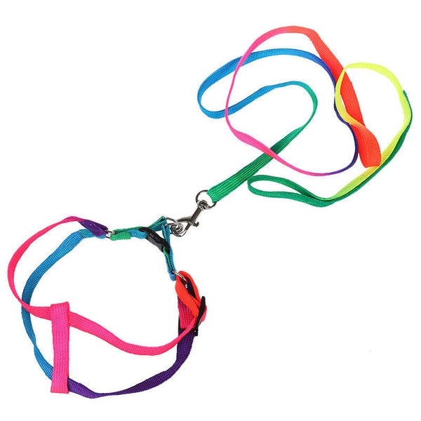 44" Long Rainbow Nylon Small Medium Size Dog Pet Harness Leash