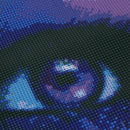 1X(5D Diy Diamond Painting Butterfly Purple Eye Embroidery 100% Full Diamon