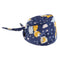 2Pcs Unisex Adjustable Surgical Hat Doctor Nurse Scrub Cap
