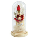 Beauty And The Beast Imitated Lily Flower LED Light Glass Dome Display Wood Z4G2