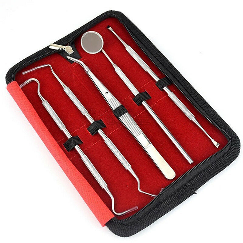 5X Stainless Steel Dental Oral Hygiene Kit Tools Deep Cleaning Teeth Care Set JR
