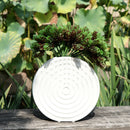 Pack 6 Creative Artificial Pine Nuts Plant Home Wedding Garden Decor B