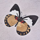 Huge butterfly reversible sequined sew on patches for clothes handmade DIY TEUS