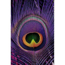 5D DIY Full Drill Diamond Painting Cross Stitch Embroidery (Purple Feather)