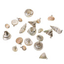 Natural Gilding Conch Shell Beads Pendants Charms for Jewelry Making Crafts