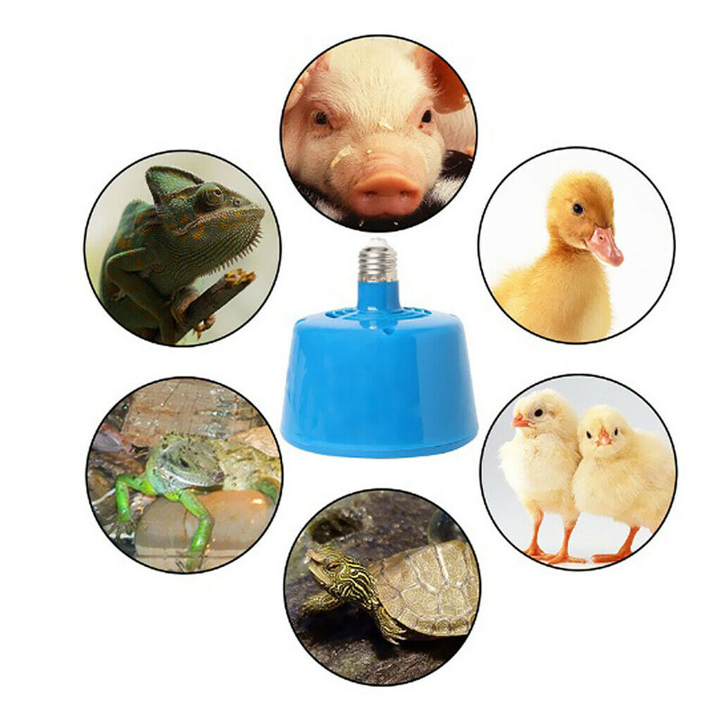 Heat Basking Lamp Infrared Heater Light Bulb For Small Poultry