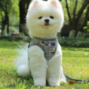 2pcs Breathable Pet Puppy Harness Vest Pet Training Traction Rope For Puppy