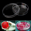 5x Clear Plastic Petri Dish Disposable Bacterial Culture Dish Plate 60X15mm QIJ