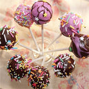 100pcs  Food Sucker Sticks Chocolate Cake Lollipop Sweet Candy Mold 15cmã€HME
