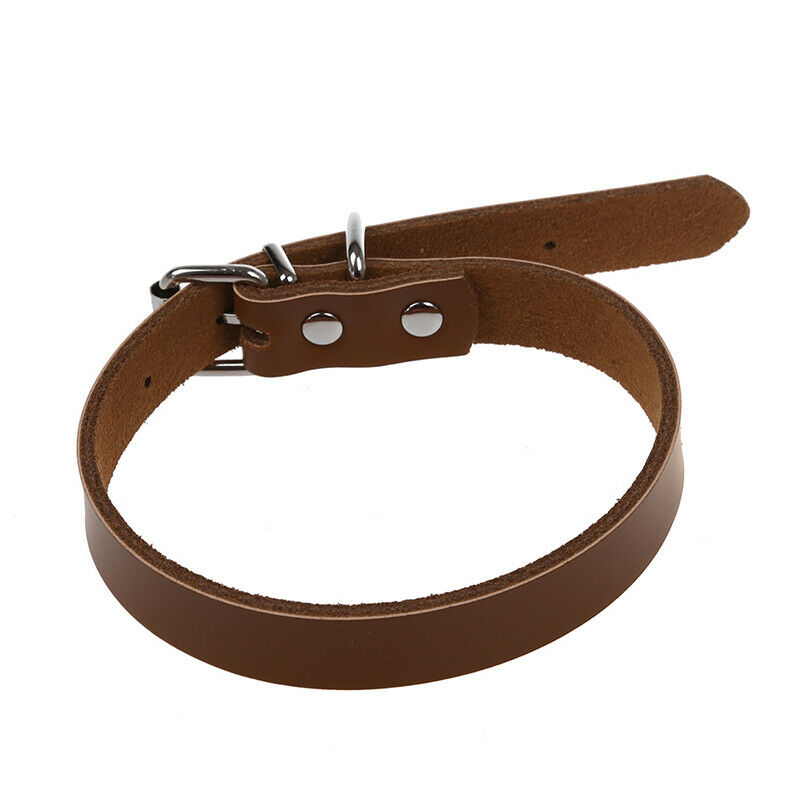 Leather collar Adjustable For Pet Dog Brown M