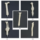 New Arrival Unique Ball Point Pen Bone Nurse Doctor Student Stationery Gift