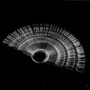 50 Piece Fan-Shaped False Nail Art Polish Gel Display Chart 150 Tips Clear