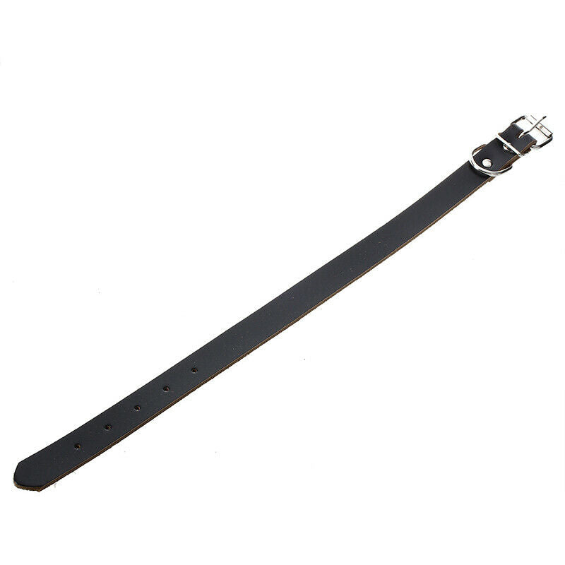Adjustable Black Leather Collar for Dog - Size L