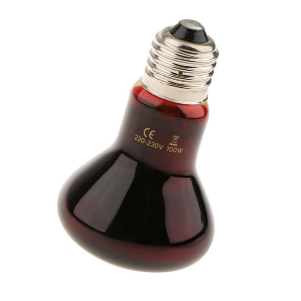 2Pcs Reptile UVA Infrared Heating Light Nightlight Daylight Bulb 50W & 100W
