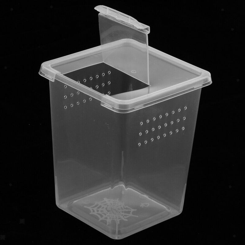 4x Clear Plastic Insect Habitat Feeding Box Container DURABLE 8x8x11cm