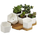 Planter Pots Indoor, 7 Pack 2.75 Inch Modern White Ceramic Small Hex Succul