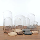 Glass Landscape Flower LED Light Ornament Cover Dome Display Stand _Brown D