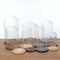 Glass Landscape Flower LED Light Ornament Cover Dome Display Stand _Brown D