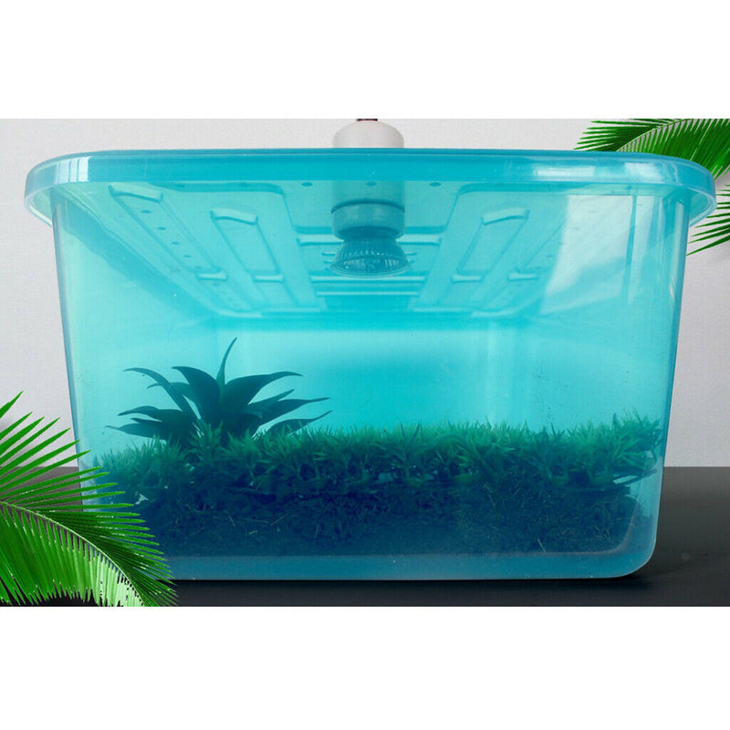 1pcs Plastic Reptile  Tortoise Turtle Tank Terrariums Box Vivarium Box