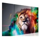 Set of 3Pcs Canvas Art Wall Painting Pictures Colorful Lion Landscape Print