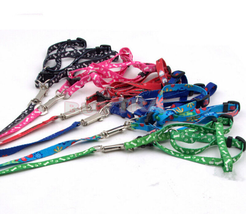 Pet Small Dog Puppy Cat Rabbit Kitten Nylon Harness Collar Leash Lead LJ