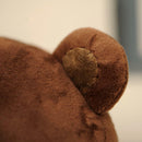 Handmade Cartoon Bear Plush Stuffed Animal Making Kit for DIY Sewing 30x15cm