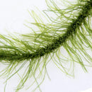 8 pcs Carp Fishing Accessories Ready Made Hair Rigs Terminal Tackle with Ho U4G4