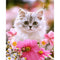 5D DIY Full Drill Diamond Painting Kitten Cross Stitch Embroidery Mosaic