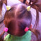 160Pcs Colorful Child Kids Hair Holders Cute Rubber Hair Band Pro Elastics Ropes