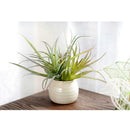 Real Touch Artificial Succulent Plants Landscape Garden DIY Decor Grass L