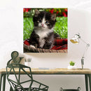 5D DIY Full Drill Diamond Painting Lovely Cat Cross Stitch Embroidery Kit