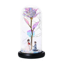 LED Foil Rose Glass Dome Fairy String Night Light for Valentine (Proposal) A