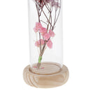 Glass Display Cloche Jar Dome Flower Immortal Preservation Vase Ornament