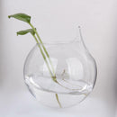 10Pcs Flower Plant Hanging Glass Vase Bottle Wedding Garden Ball Decor New