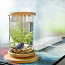 Glass Aquarium Bamboo Base Mini Fish Tank Decoration Fish Bowl Office Micro H6O6