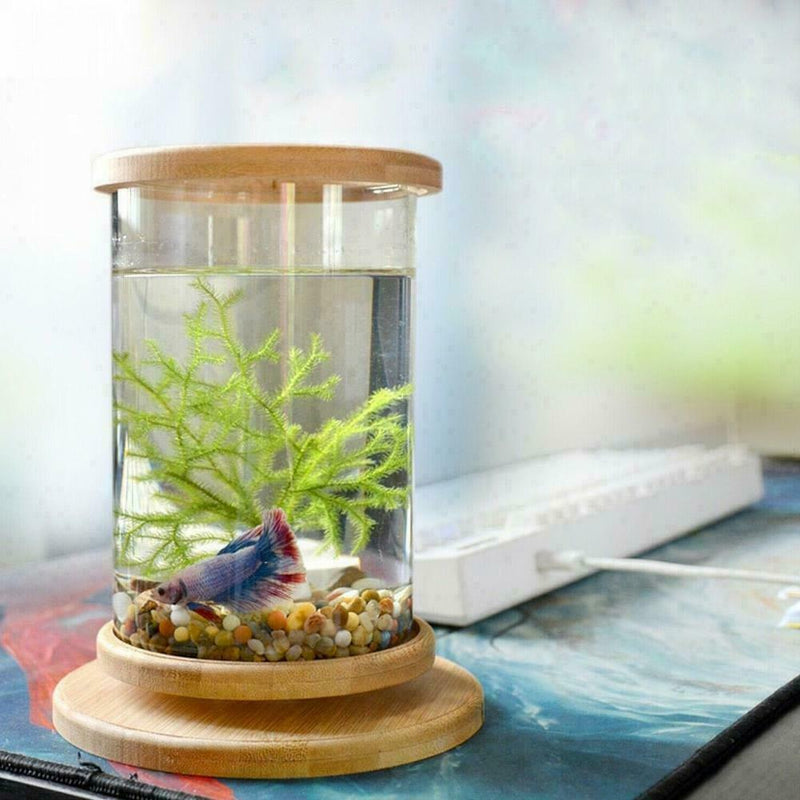 Glass Aquarium Bamboo Base Mini Fish Tank Decoration Fish Bowl Office Micro H6O6