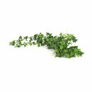 Artificial Ivy Garland Wedding Decor Decoration Ornament Q6A4
