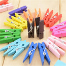 50pcs Mini Natural Wooden Clothes Photo Paper Peg Clothespin Craft Clips MO