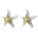 2pcs Natural Starfish Sea Star shell Making DIY Craft Decor X7C4