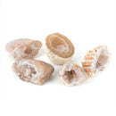 5Pcs Geodes Oco Agate Natural Crystals Druzy Halves Quartz Specimens FT