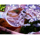 2PCS Clear Lily Pipe Outflow For 12/16mm 16/22mm Tube Aquarium Planted Tank